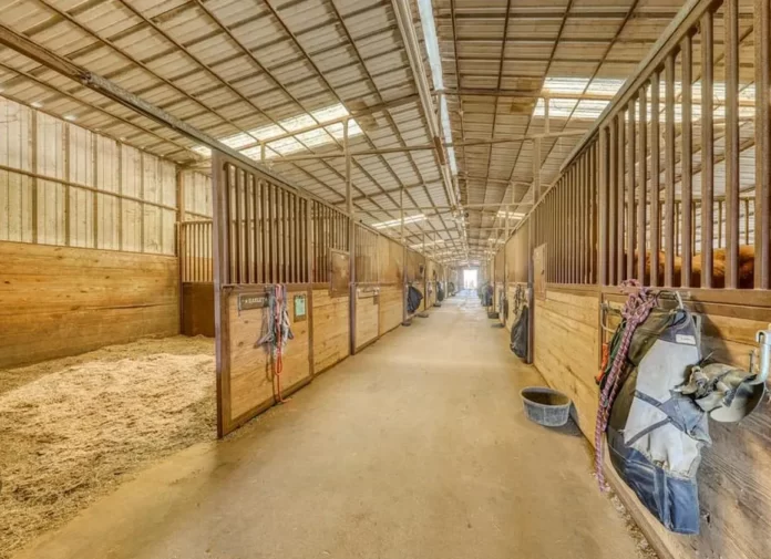 How Much Does Horse Boarding Cost? | TechoWiser